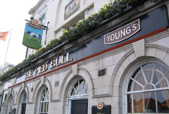The Pied Bull